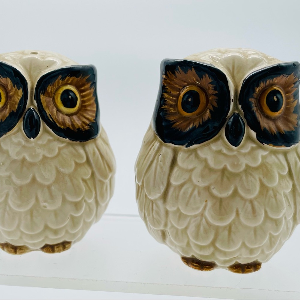 Vintage Cream and Brown Owl Salt and Pepper Shakers